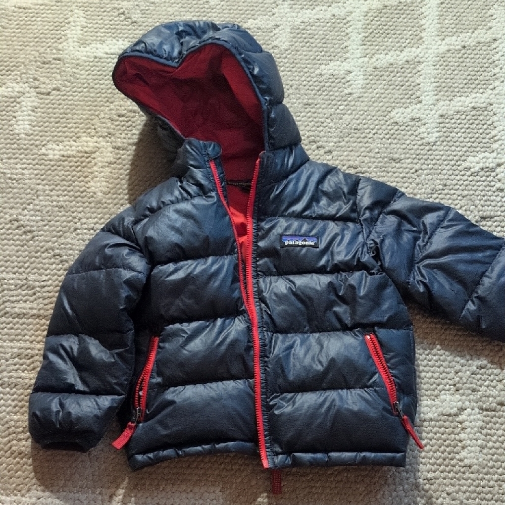 Patagonia Dark Blue Puffer Jacket with Red Interior